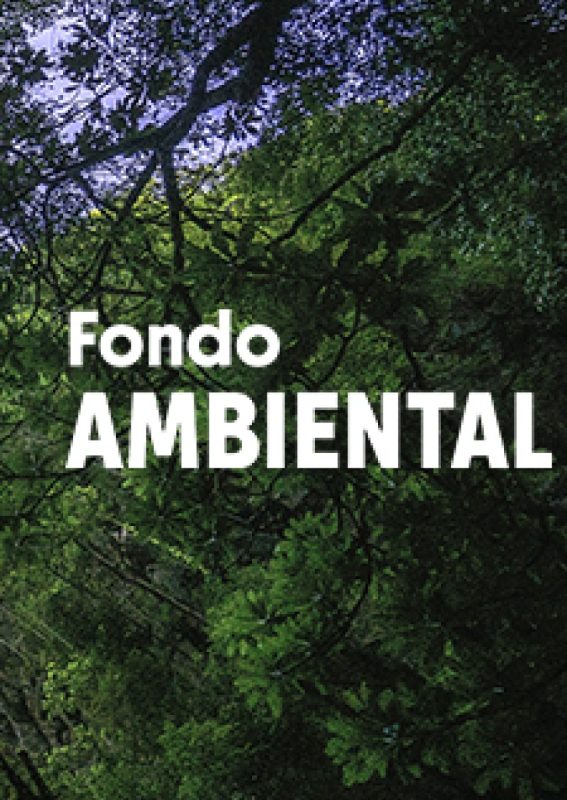 cropped-Banner1-1.jpg